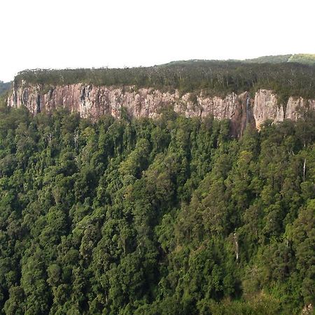 Вілла Springbrook Lyrebird Retreat Екстер'єр фото