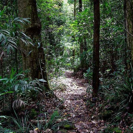 Вілла Springbrook Lyrebird Retreat Екстер'єр фото