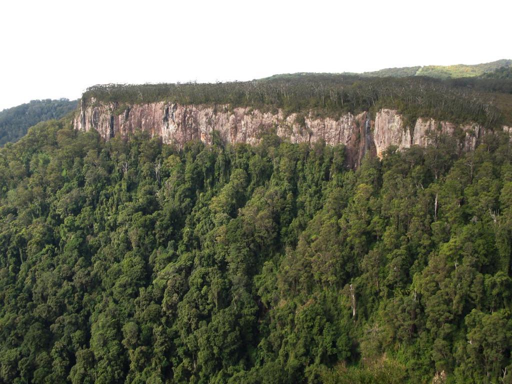 Вілла Springbrook Lyrebird Retreat Екстер'єр фото