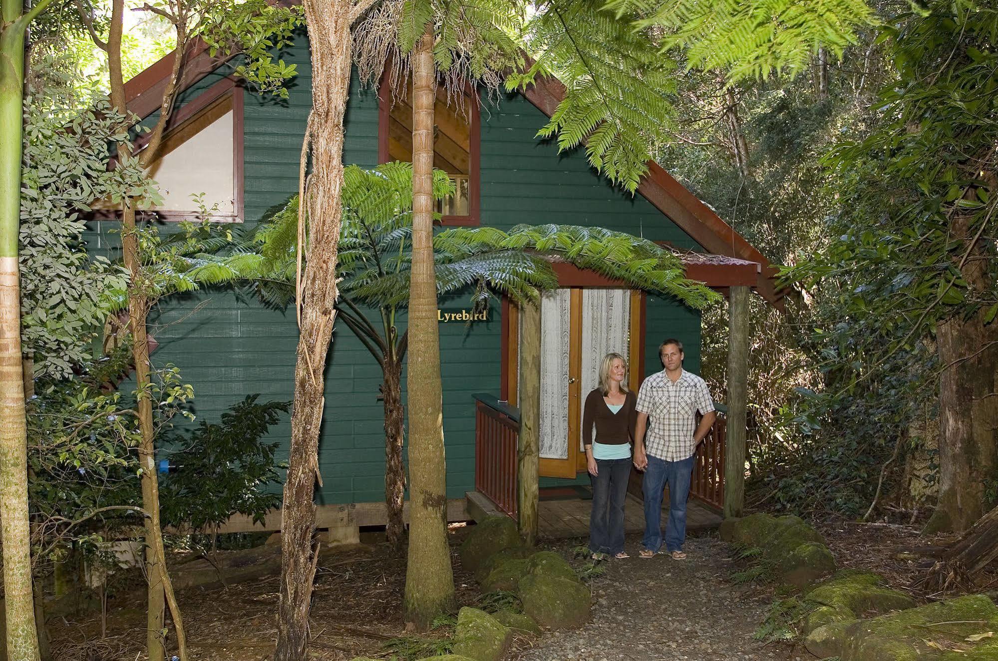 Вілла Springbrook Lyrebird Retreat Екстер'єр фото