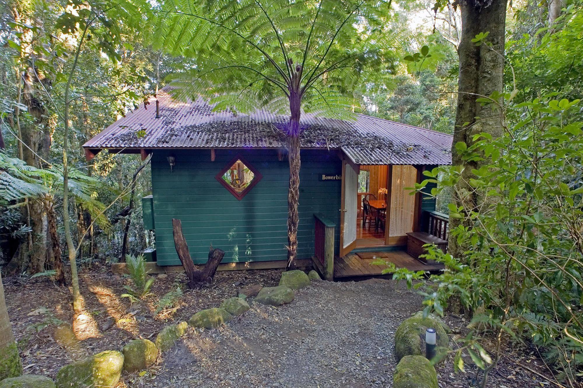 Вілла Springbrook Lyrebird Retreat Екстер'єр фото