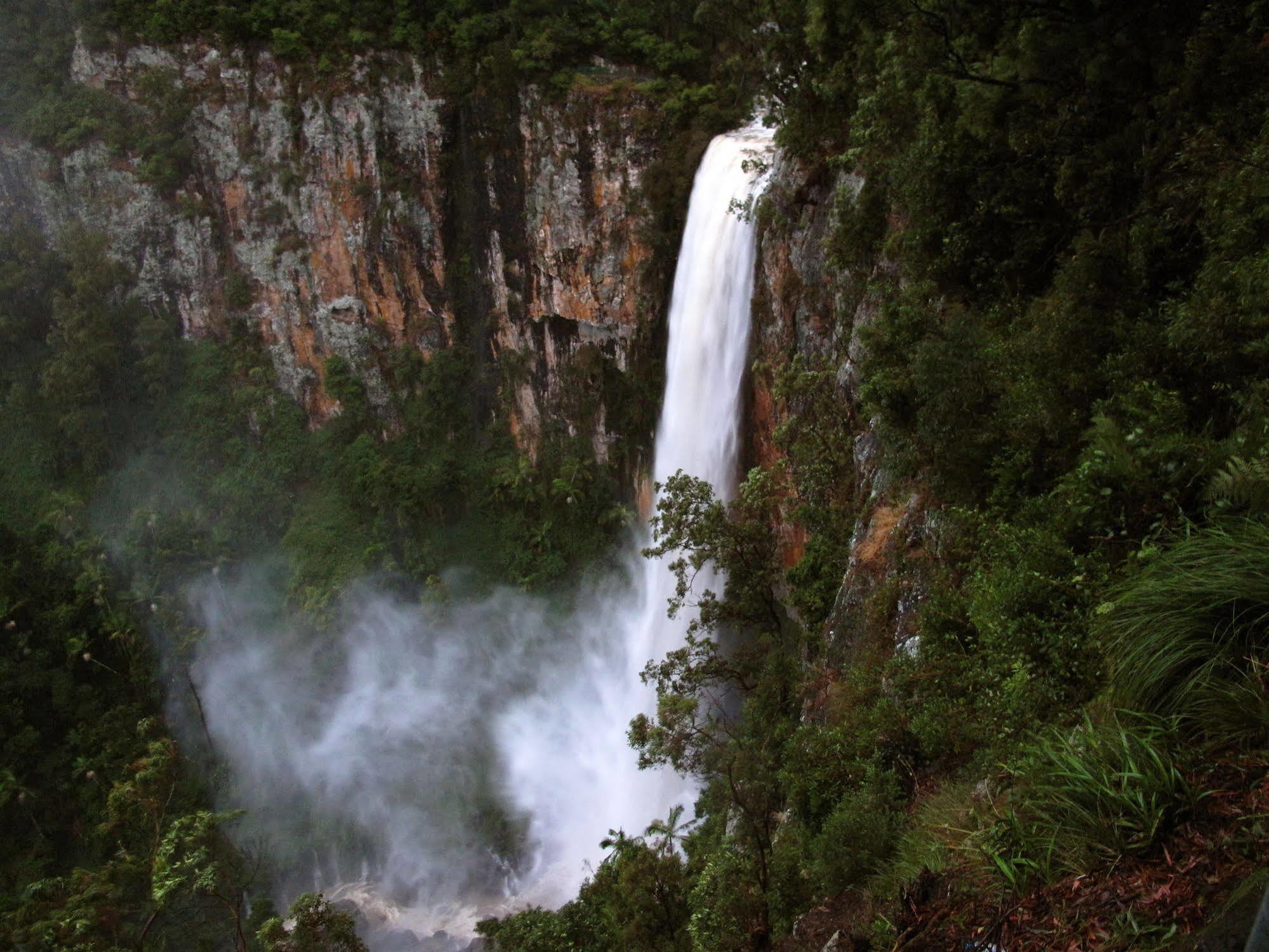 Вілла Springbrook Lyrebird Retreat Екстер'єр фото