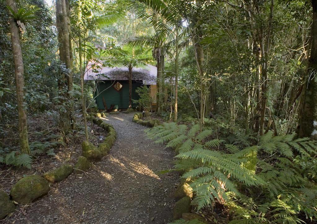 Вілла Springbrook Lyrebird Retreat Екстер'єр фото