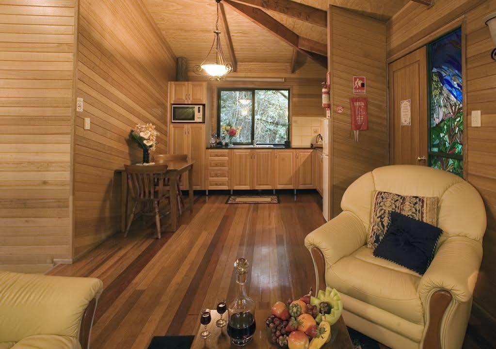 Вілла Springbrook Lyrebird Retreat Екстер'єр фото