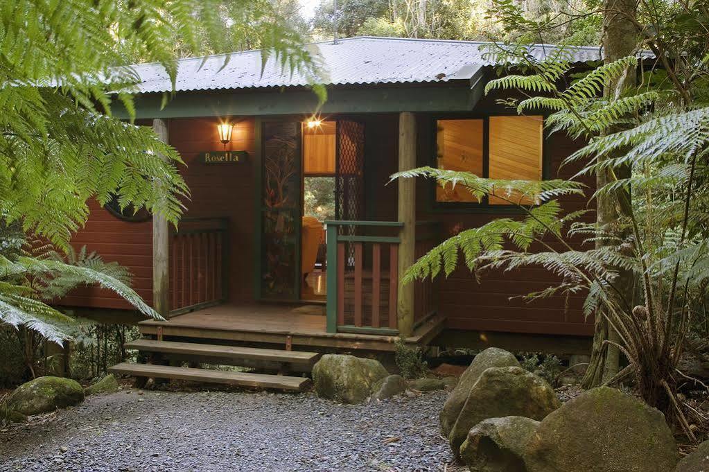 Вілла Springbrook Lyrebird Retreat Екстер'єр фото