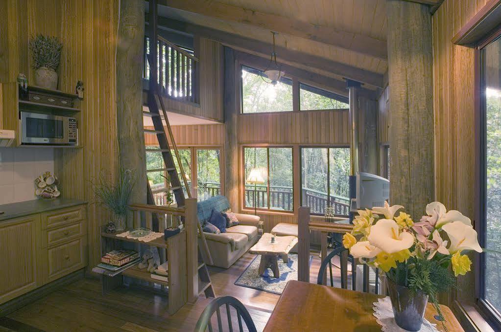 Вілла Springbrook Lyrebird Retreat Екстер'єр фото